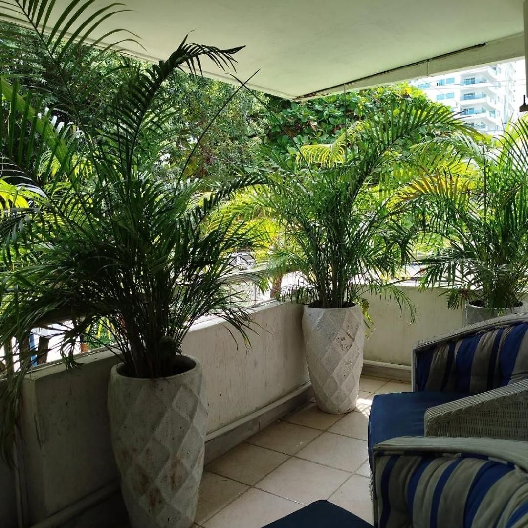 Guest house Casa Corozo Boutique